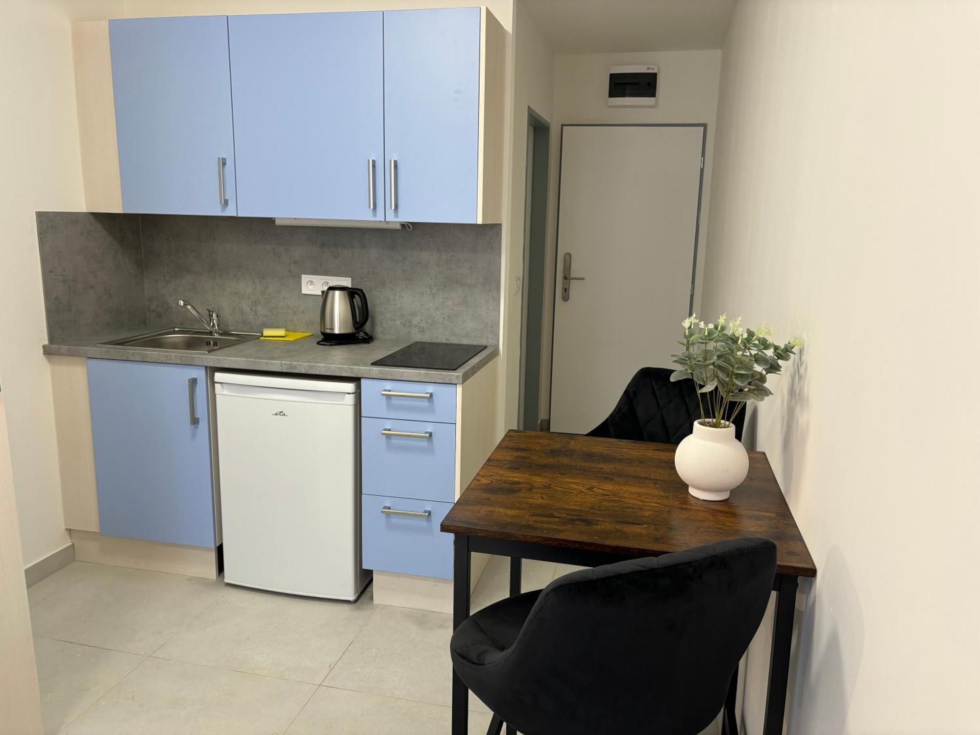 Apartmany Plzen Rolnicke Namesti 8 Esterno foto